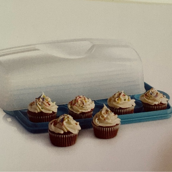 Rectangular Cake Taker - Picture 2 of 12